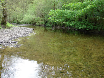 River Edw pool